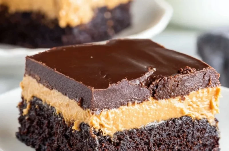Delicious layered peanut butter brownies topped with chocolate icing.